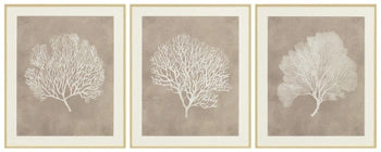 Taupe/White